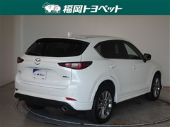 CX-525Sエクスクルーシブモード