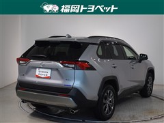 RAV4HEV G