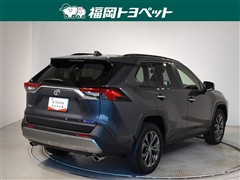 RAV4 G