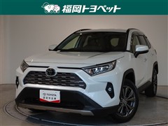 RAV4 G