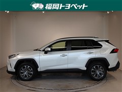 RAV4 G