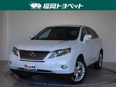 RX450h ヒョウジュン