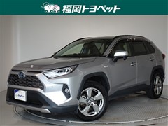 RAV4HEV G