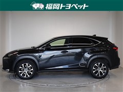NX300h Fスポーツ