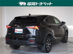 NX300h Fスポーツ