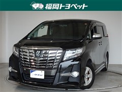 アルファード Sサイドリフトアップ