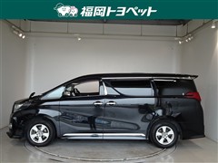アルファード Sサイドリフトアップ