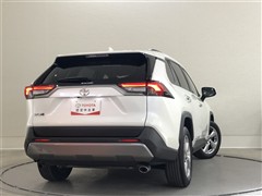 RAV4 G 4WD