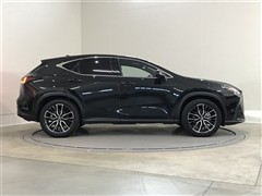 NX350h バージョンL