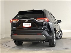 RAV4 G