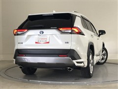 RAV4 ハイブリッドG