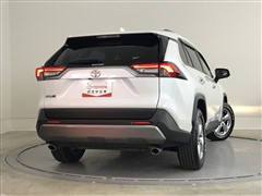RAV4 G
