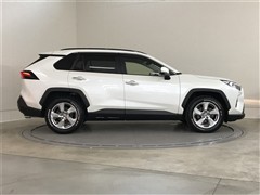 RAV4 G