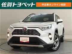 RAV4 G
