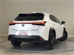 UX250h バージョンC
