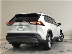 RAV4 G