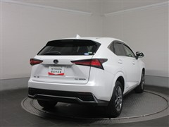 NX300h ヒョウジュンシャ