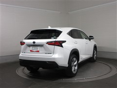 NX300h version L