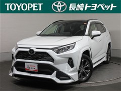 RAV4 G