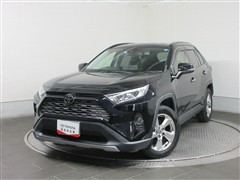 RAV4 G