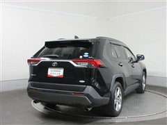 RAV4 G