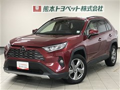 RAV4 G