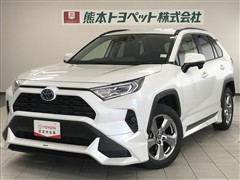トヨタ RAV4 HEV X