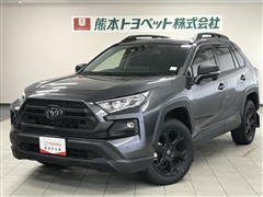 RAV4アドベンチャーオフロード2