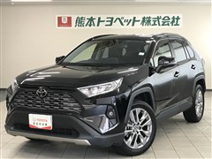 RAV4 G Zパッケージ