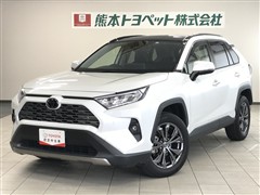 RAV4 G
