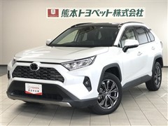 RAV4 G