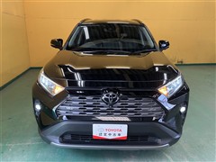 RAV4 G