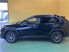 RAV4 G