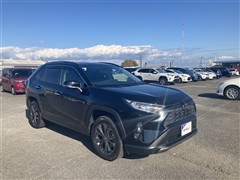 RAV4 G