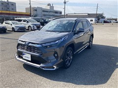 トヨタ RAV4 ハイブリッドG