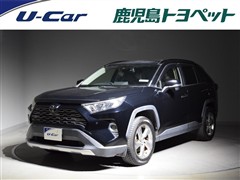 RAV4 G