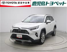 RAV4 G Zパッケージ