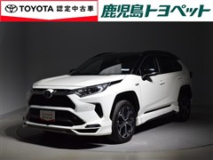 トヨタ RAV4 PHV ブラックトーン