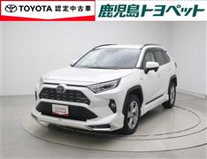 RAV4 HEV G