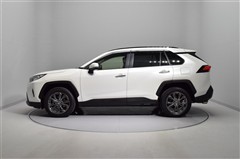 RAV4 G