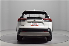 RAV4 G
