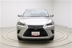 NX300h Iパッケージ