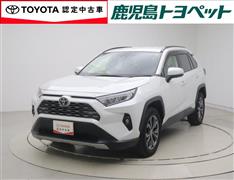 RAV4 G