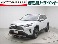 RAV4 HV G