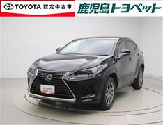 NX300 Iパッケージ