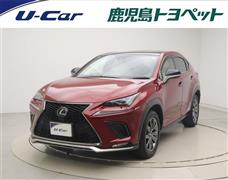 NX300h Fスポーツ シュウフクレ