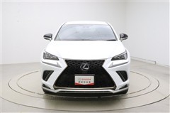 NX300h Fスポーツ