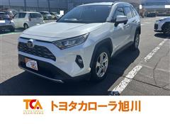 RAV4 G