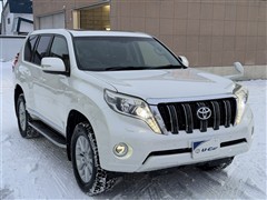 ランドクルーザープラド TZ