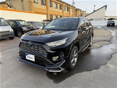 RAV4 ハイブリッドG